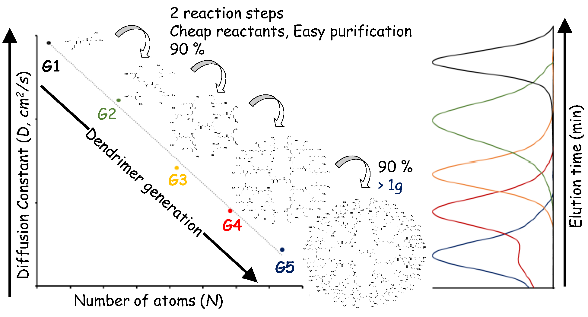 Slightly congested amino terminal dendrimers. Amide-based stable structures with large-scale synthesis