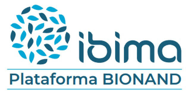 IBIMA