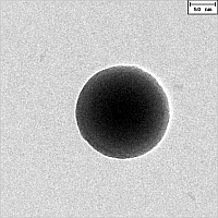 PMA11_004